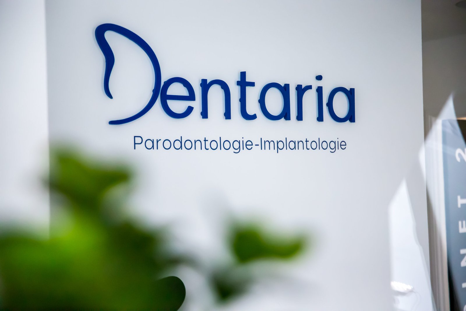 Dentaria11-scaled.jpg